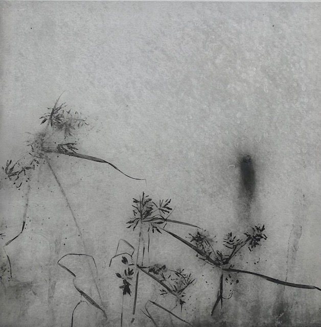 Untitled, Weed series (10)